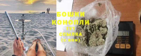 сатива Володарск