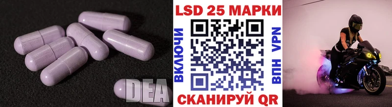 Купить закладки  Курган  Лсд 25 экстази кислота 