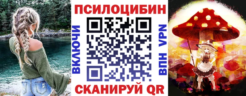 Псилоцибиновые грибы Psilocybine cubensis  Купить закладки  Курган 